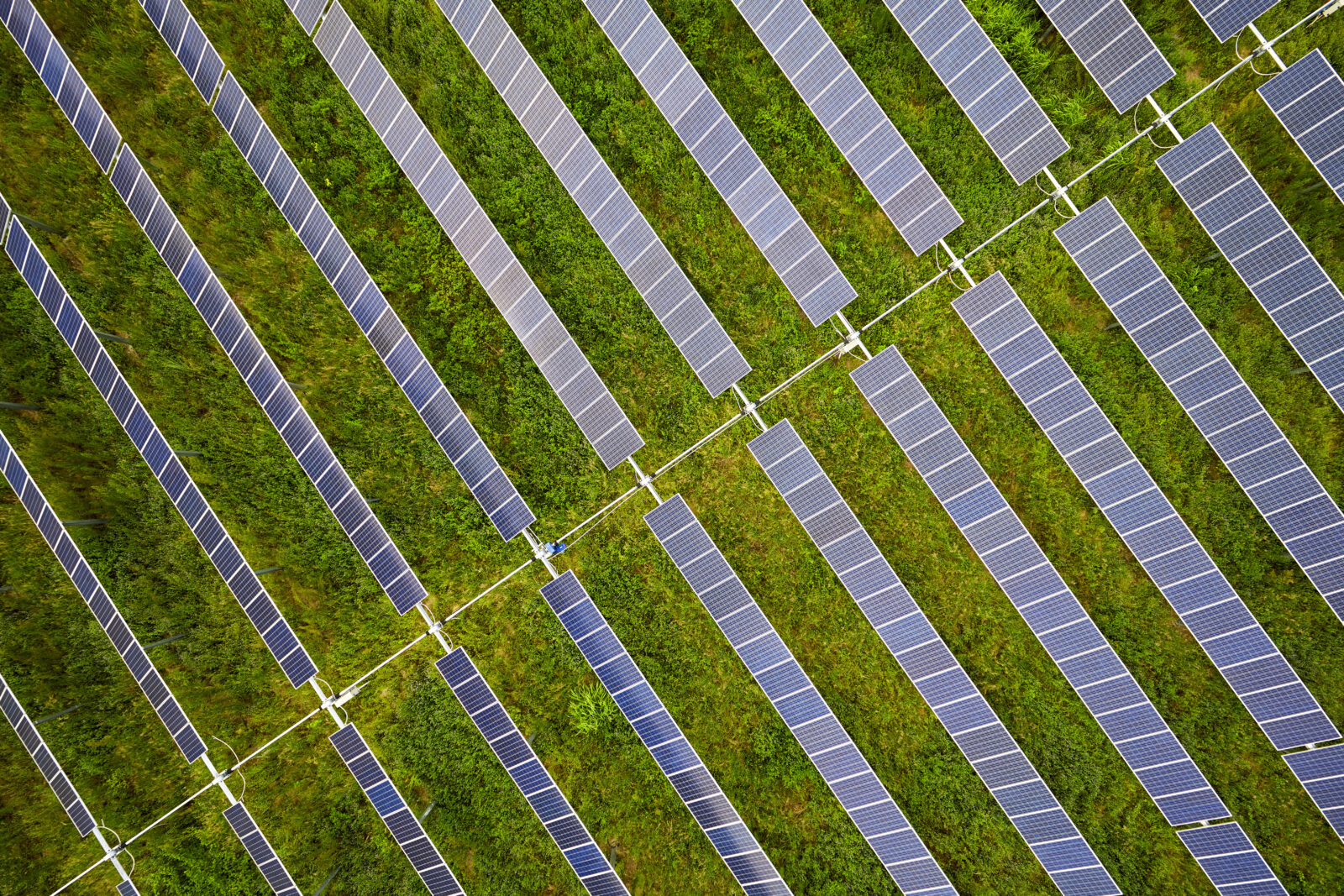 Rows of panels with trackers